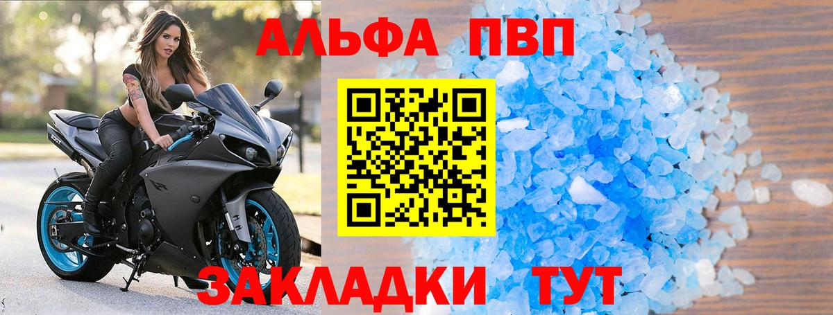 Альфа ПВП СК Губаха